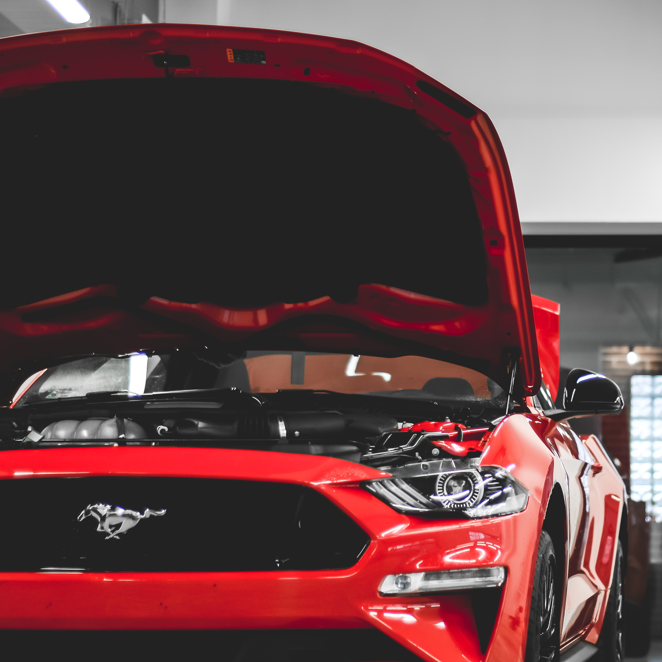 Ford Mustang GT zabezpieczony folią ochronną Ragnarok®.